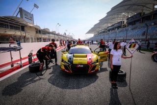 #8 Belgium Mike Den Tandt/Charles Weerts Audi R8 LMS Belgian Audi Club Team WRT, Qualifying Race 2
 | SRO / Dirk Bogaerts Photography