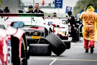 Grid walk Main Race, Main Race
 | SRO / Patrick Hecq Photography