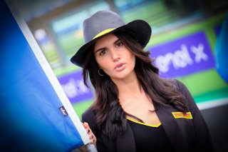 Gridwalk, Qualifying Race
 | SRO / Dirk Bogaerts Photography