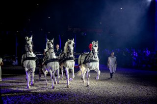 Parade
 | SRO / Kevin Pecks-1VIER