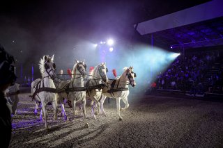 Parade
 | SRO / Kevin Pecks-1VIER