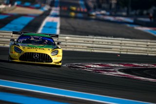 #44 - Brazil - Adalberto Baptista - Bruno Baptista - Mercedes AMG GT3, GT Cup
 | SRO / Kevin Pecks