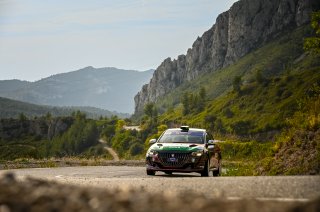 #27 - India - Sanjay Takale - Mike Young  - Peugeot 208 Rally4, Rally 4
 | SRO / Nico Deumille