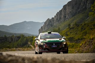 #27 - India - Sanjay Takale - Mike Young  - Peugeot 208 Rally4, Rally 4
 | SRO / Nico Deumille