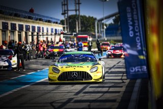 #44 - Brazil - Adalberto Baptista - Bruno Baptista - Mercedes AMG GT3, GT Cup
 | SRO / Patrick Hecq Photography