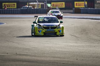 #18 - Australia - Aaron CAMERON - Peugeot 308 TCR, Touring Car
 | SRO/ JULES BEAUMONT