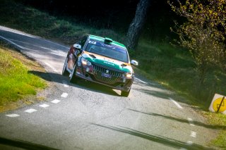 #27 - India - Sanjay Takale - Mike Young  - Peugeot 208 Rally4, Rally 4
 | SRO / Nico Deumille