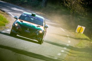 #27 - India - Sanjay Takale - Mike Young  - Peugeot 208 Rally4, Rally 4
 | SRO / Nico Deumille