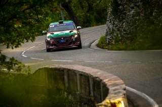 #27 - India - Sanjay Takale - Mike Young  - Peugeot 208 Rally4, Rally 4
 | SRO / Nico Deumille