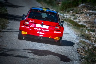 #3 - Sweden - Jari Liiten - John Stigh - Skoda Fabia R5, Rally 2
 | SRO / Nico Deumille